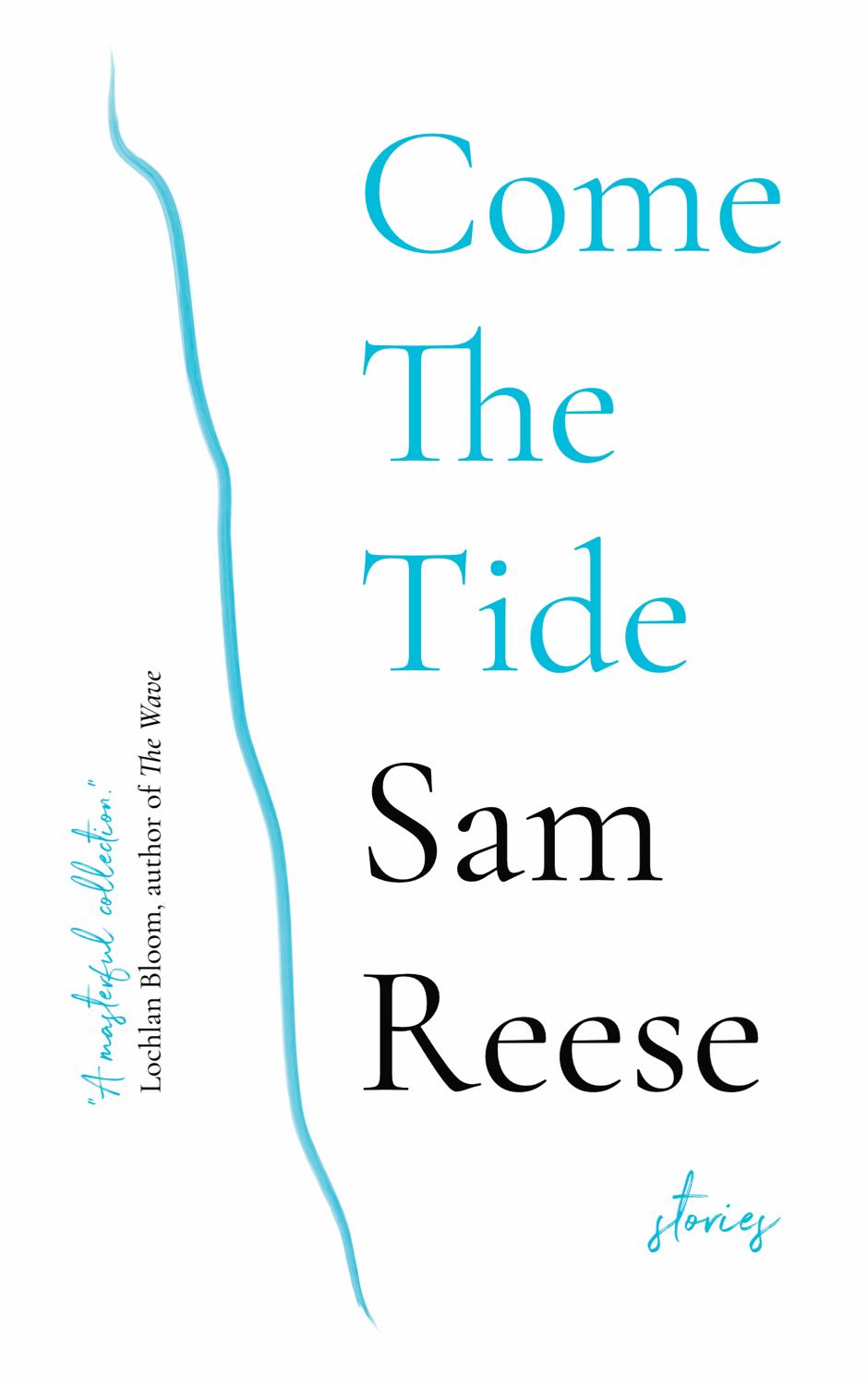 Cover features the title of the book in large text and a stylised stroke representing the tide/cliff.